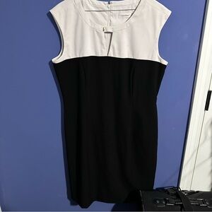 Calvin Klein Black and White Women's Dress Classic Business Casual